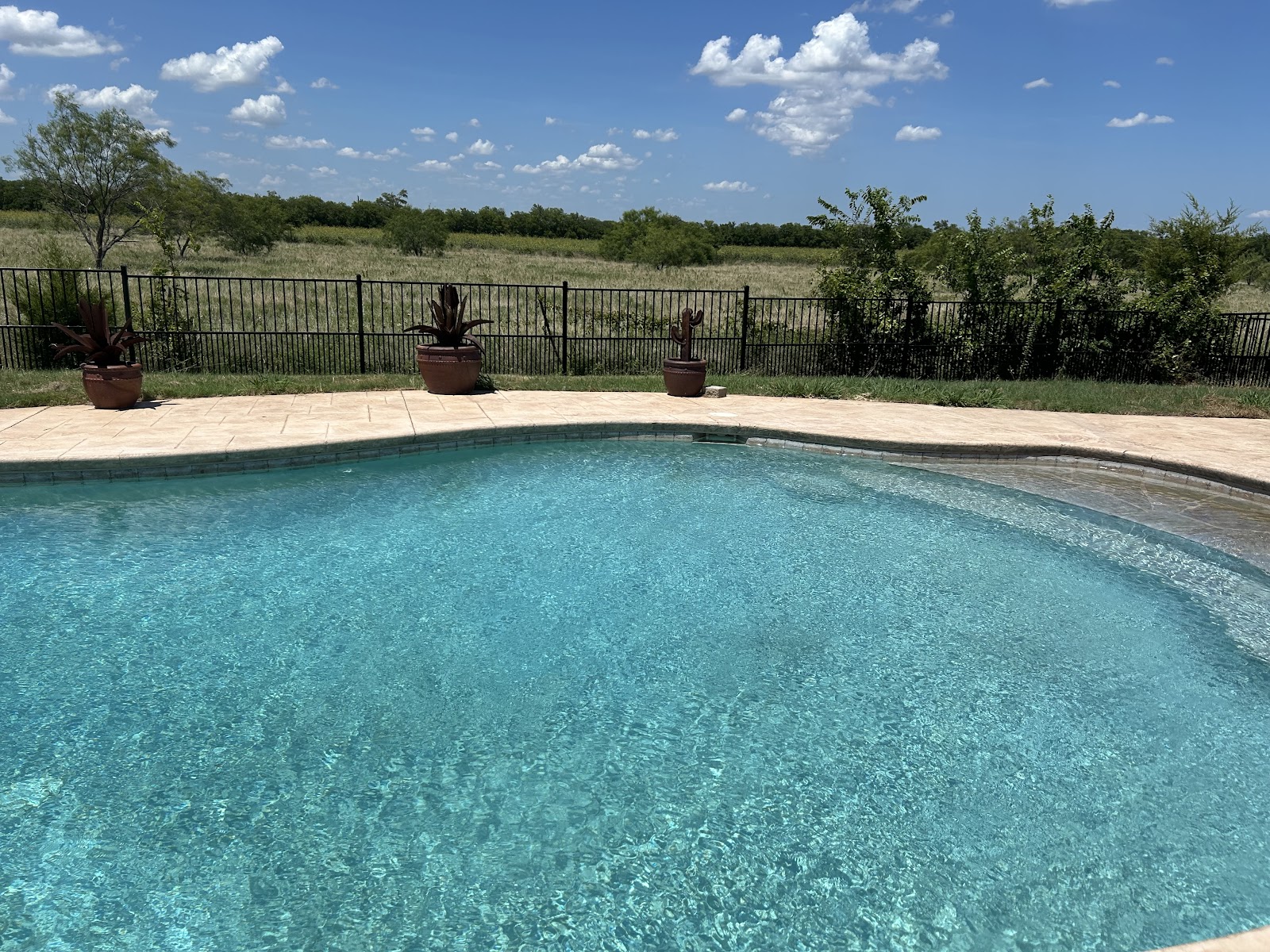 Family Pool with Deck & Landscape
